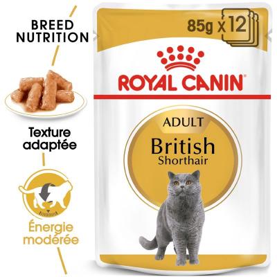 Royal Canin 12 x 85&nbsp;g - Breed British Shorthair Adult en sauce