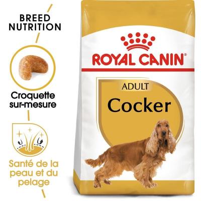 Royal Canin - Croquettes Cocker pour Chien Adulte - 3Kg