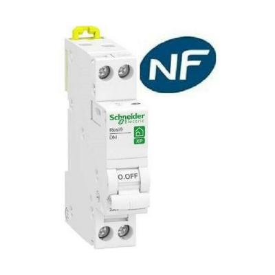 Disjoncteur courbe D phase + neutre Resi9 xp SCHNEIDER ELECTRIC 10 A