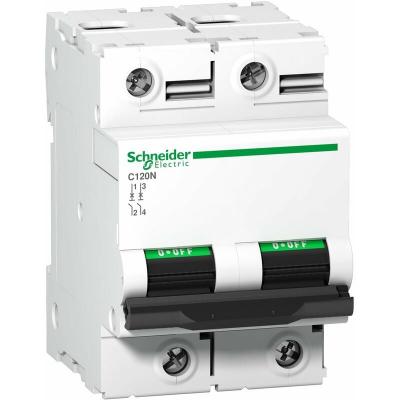 Disjoncteur 100 A - C120N - 2P - Courbe C - 10 kA