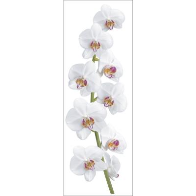 Sticker autocollant d&eacute;coratif, photo d'une fleur orchid&eacute;e, 56 cm X 164 cm