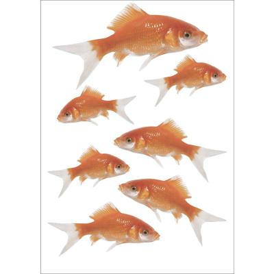 Sticker d&eacute;coratif autocollant, poissons rouges, x2, 21,9 cm X 29,7 cm