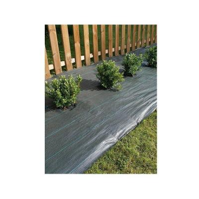 Toile de paillage tiss&eacute;e Weedsol 1,25 x 25 m - Vert - Nortene