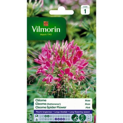 Vilmorin - Sachet graines Cl&eacute;ome Rose