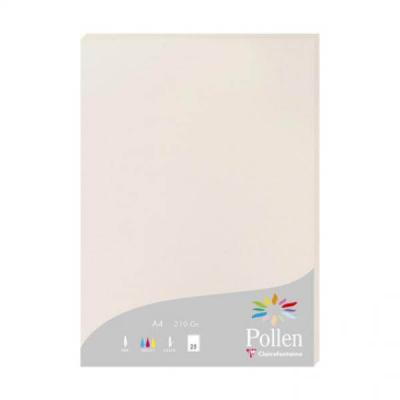 Clairefontaine Etui De 25 Feuilles 210x297 Gris Perle 210g