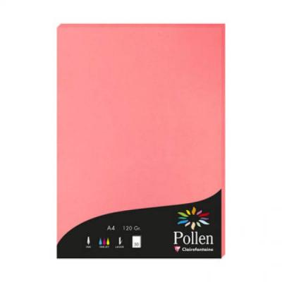 Papier Pollen A4 50 feuilles - Litchi - Pollen by Clairefontaine - Litchi