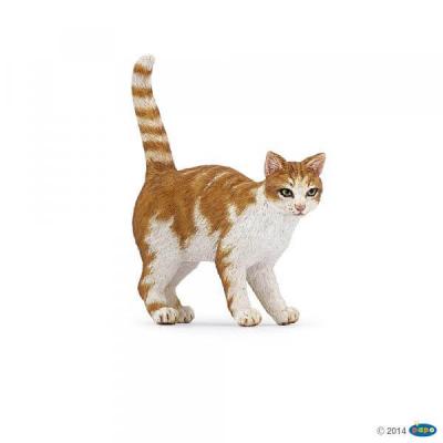 Chiens Et Chats De Collection Chat Roux