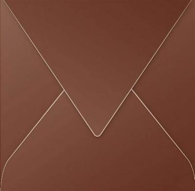 Enveloppe Pollen 165 x 165 Cacao x 20