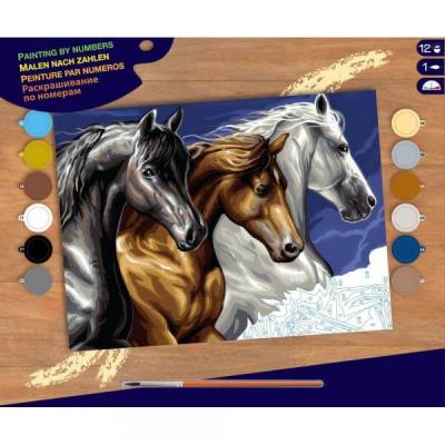 KSG - Kit de peinture a numero - Motif cheveaux