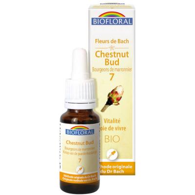Biofloral 07 - Chestnut Bud - Bourgeons marronnier - 20 ml