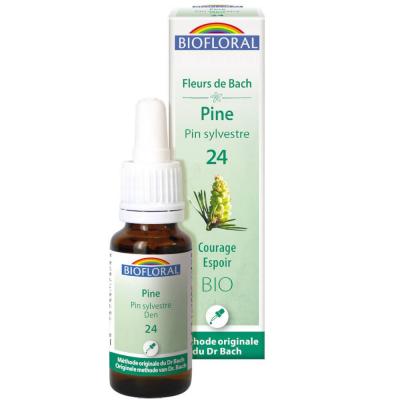 Fleur De Bach Elixir Pine n&deg;24 Pin sylvestre Biofloral