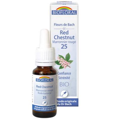 Biofloral 25 - Red chestnut - Marronier rouge - 20 ml
