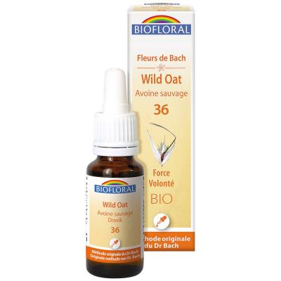 France Herboristerie FLEURS DE BACH n&deg;36 Wild Oat, Avoine sauvage