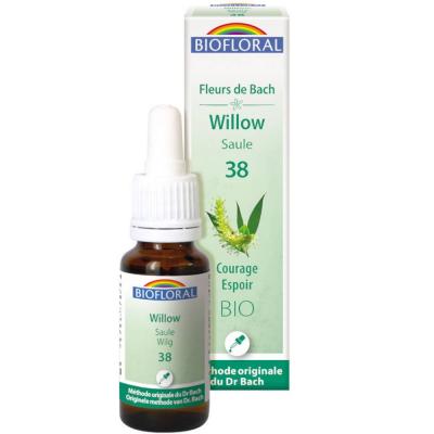 France Herboristerie FLEURS DE BACH n&deg;38 Willow, Saule