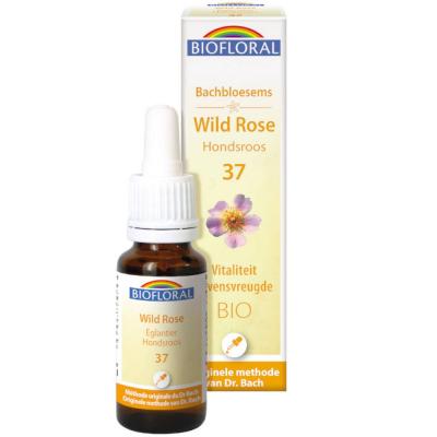 France Herboristerie FLEURS DE BACH n&deg;37 Wild Rose, Eglantier