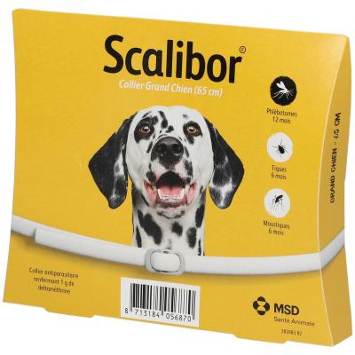Scalibor Collier Antiparasitaire Chien