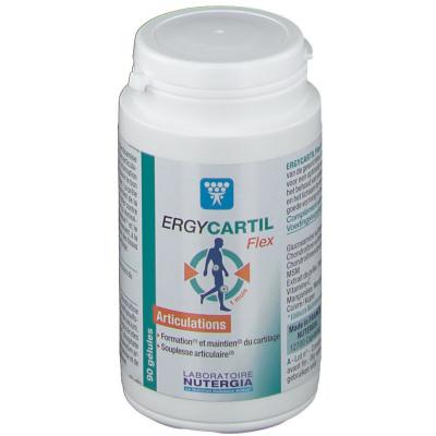 Nutergia - Ergycartil Flex 90 Gelules Nutergia