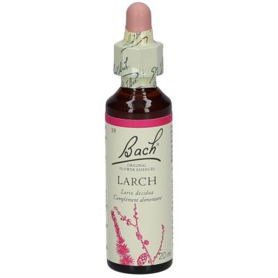 FLEUR DE BACH Original n&deg;19 Larch fleur de bach flacon 20ml