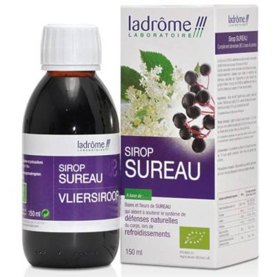 Sirop de Sureau (enfant et adulte) Ladrome