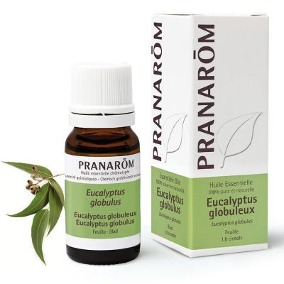 Pranar&ocirc;m Huile essentielle Eucalyptus globuleux 10ml