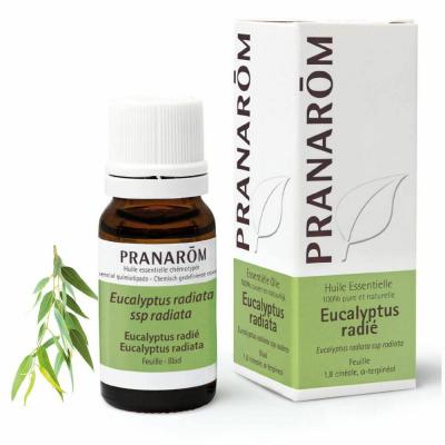 PRANAROM Huile essentielle Eucalyptus Radi&eacute;flacon 10ml