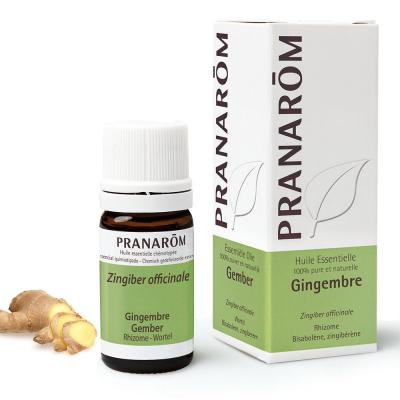 Huile Essentielle De Gingembre 5ml Les Huiles Essentielles Pranar&ocirc;m