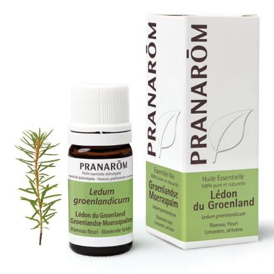 Pranarom Huile Essentielle de Th&eacute; du Labrador 5 ml 5 ml