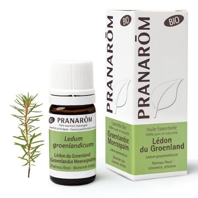 Pranar&ocirc;m Bio Huile Essentielle L&eacute;don du Groenland 5 ml