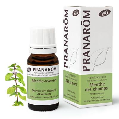 Pranarom Huile Essentielle de Menthe des Champs Bio 10 ml 10 ml