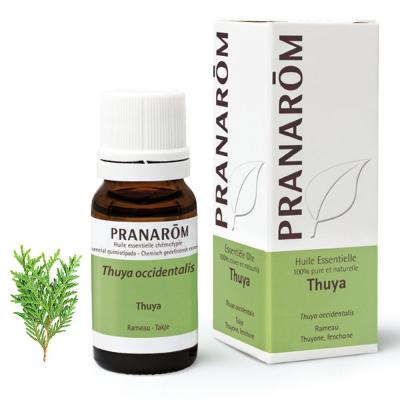Pranarom Huile Essentielle de Tuya 10 ml 10 ml