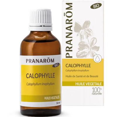 PRANAROM Huile v&eacute;g&eacute;tale - Huile de Calophylle 50ml bio