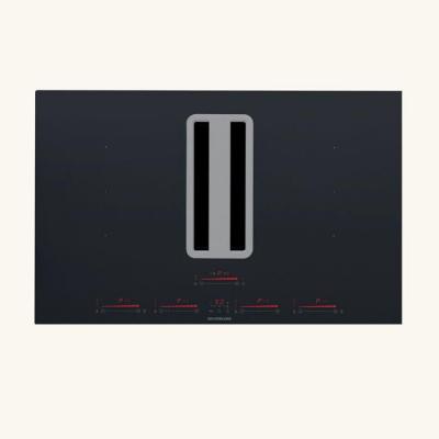 Plaque induction avec hotte int&eacute;gr&eacute;e FLOW MAX PRO 78cm noir et inox - &eacute;vacuation arri&egrave;re