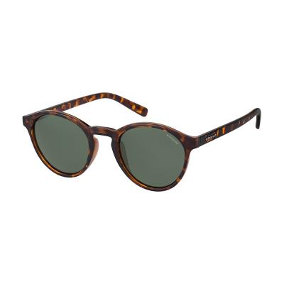Polaroid PLD 1013/S H8 V08 50 Sunglasses, V08/H8 Havana, Mens