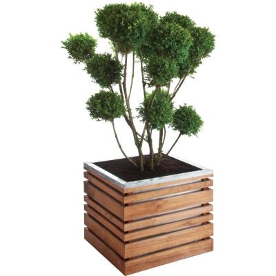 Burger 388 Lign Z Bac &agrave; Fleurs 60 cm