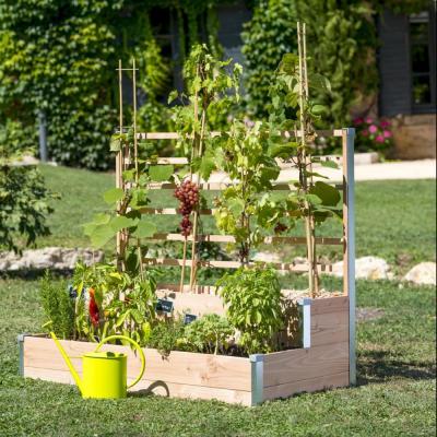 Carr&eacute; potager MON PETIT POTAGER Design 2 &eacute;tages l.120 x H.100 cm