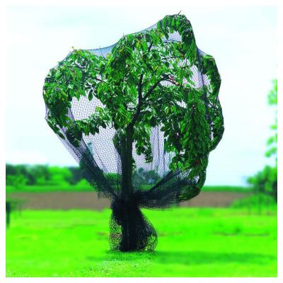 Filet de protection oiseaux renforc&eacute; vert PRONET NORTENE 5x6m