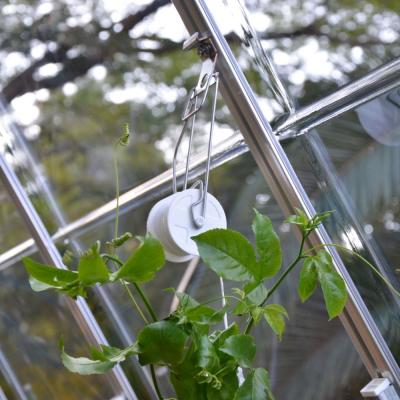Kit de palissage pour la culture de tomates en serre - Palram Canopia