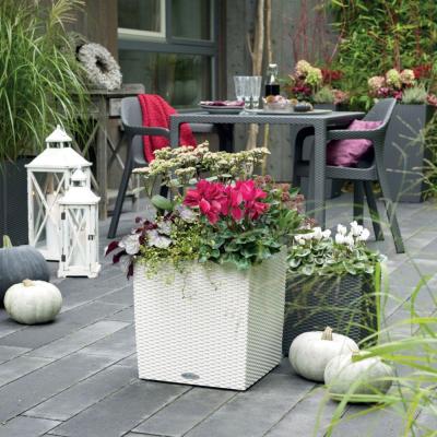 Cube Cottage 50 - Kit Complet, Blanc 50 Cm