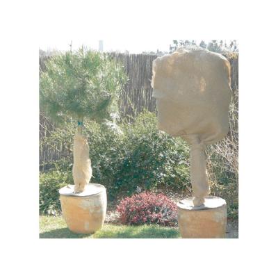 Rouleau Toile de Jute d'hivernage natureroll - Nortene