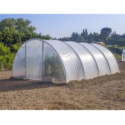 Serre-tunnel RICHEL l.450 x P.600 x H.225 cm