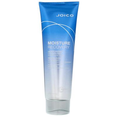 Joico Moisture Recovery Conditionneur pour cheveux secs 250ml
