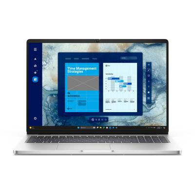 Dell Pro 16 PC16250 - 16 SSD