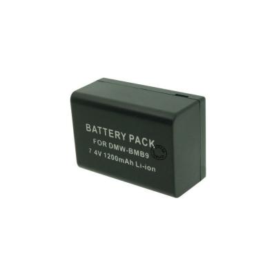 Otech Batterie Appareil Photo pour PANASONIC DMW-BMB9E