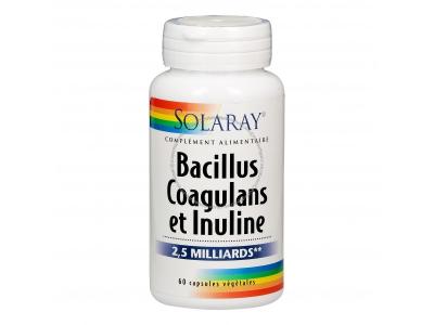 Solaray Bacillus Coagulans et Inuline 2,5 Milliards 60 Capsules V&eacute;g&eacute;tales - Bo&icirc;te 60 capsules