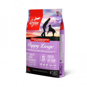 Croquettes Puppy Large pour Chiot - Orijen - 6Kg
