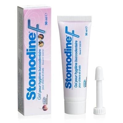 Gel Dentaire Stomodine F Chien Et Chat