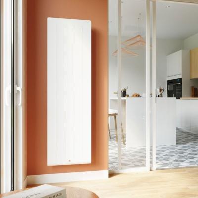 Thermor Radiateur &Eacute;lectrique &Agrave; Inertie Kenya 4 Vertical 1000w - Thermor 414725