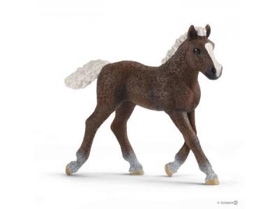 Schleich Farm World Black Forest Foal Figure Noir