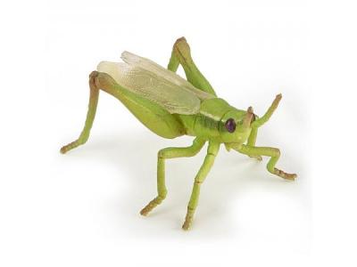 Papo- Sauterelle LA Vie Sauvage Figurine, 50268, Multicolore