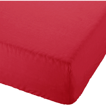 TODAY Drap housse 100% coton - 90 x 190 cm - Pomme d'amour